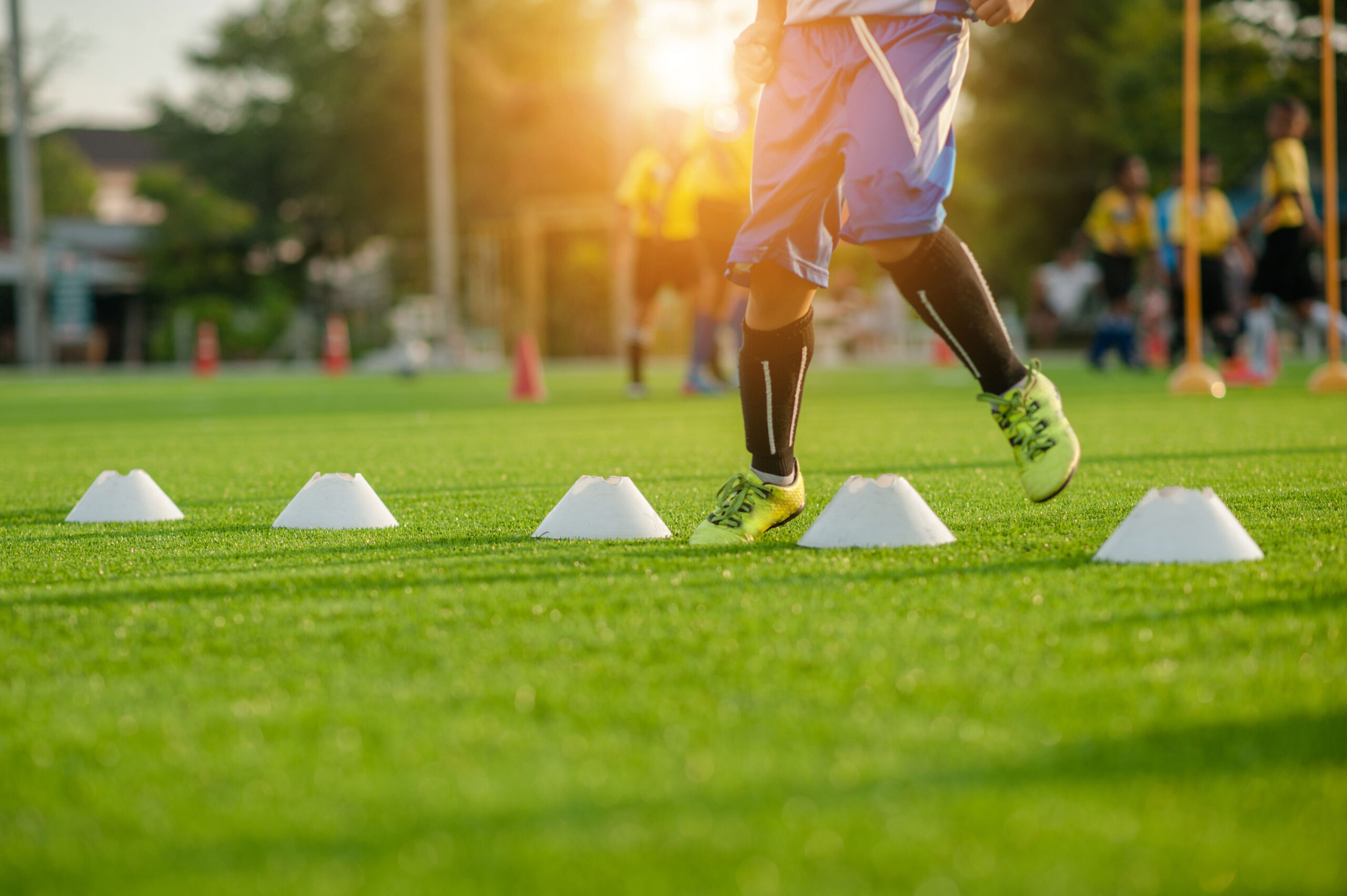 Artfificial grass sports